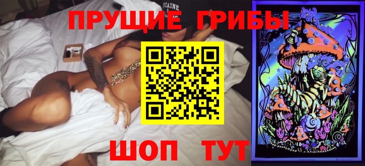 Псилоцибиновые грибы Psilocybe  Вход с VPN  Екатеринбург 